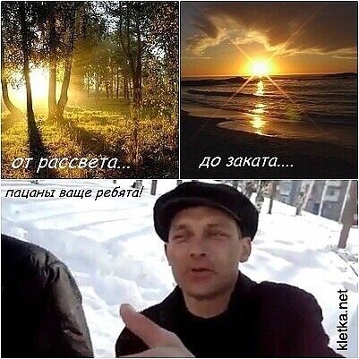 ���� 6488916 ������� �������, 41 ���, ���� ���������� � �������������