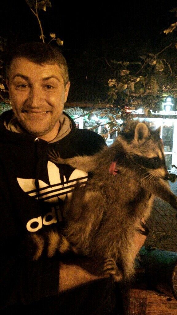 ���������� ���������, ���� ������� �������, 47 ���, ������������ ��� ������