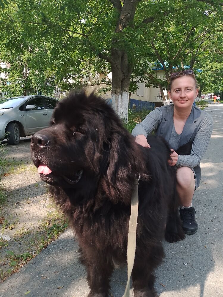 ���� 52651196 ������� ����, 37 ���, ���� ���������� � �������