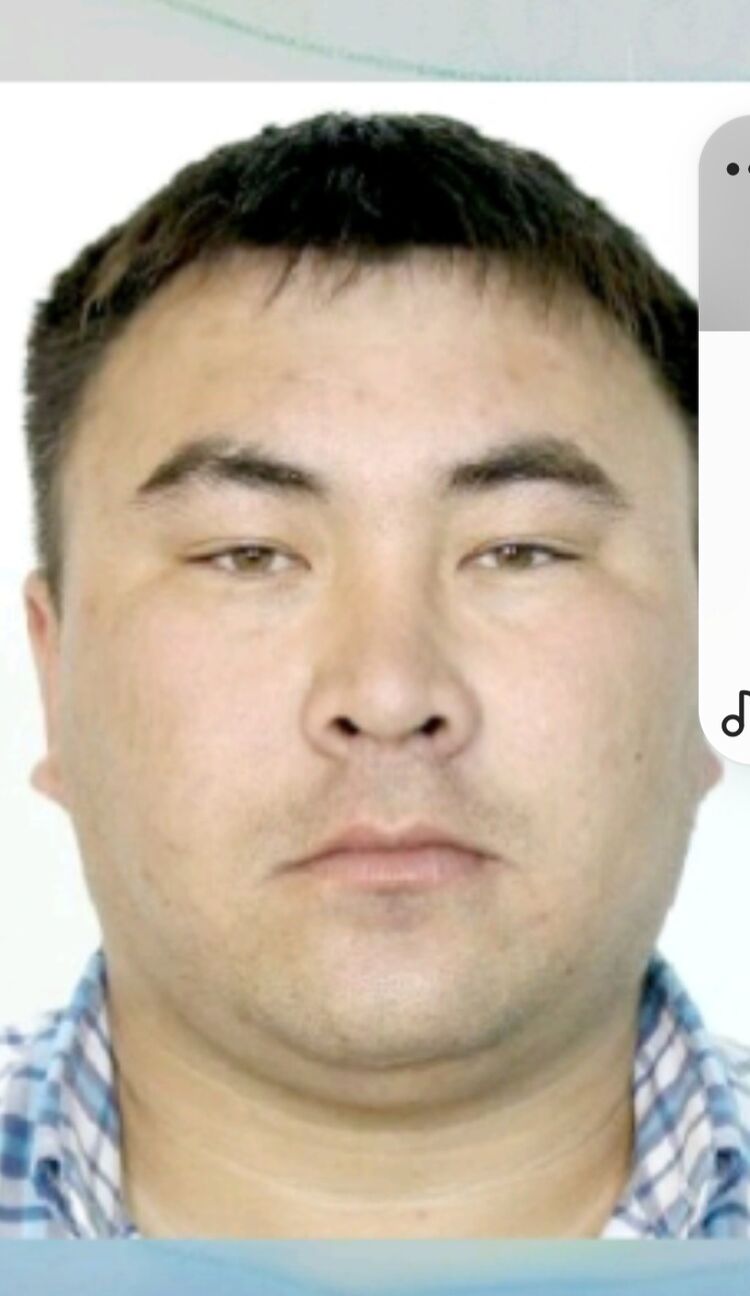 ���� 56232936 ������� �����, 40 ���, ���� ���������� � ���������