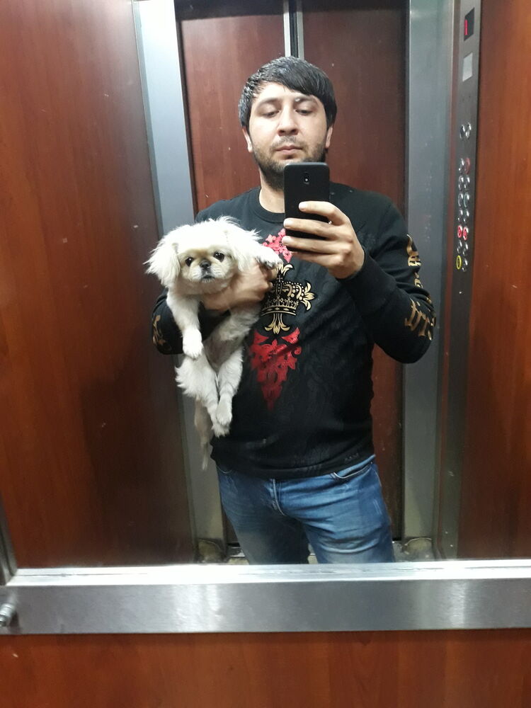  13881886  ARSEN, 33 ,    