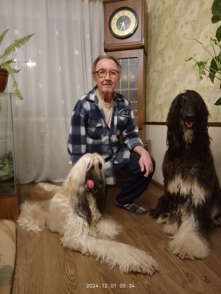  ,   , 66 ,   ,   