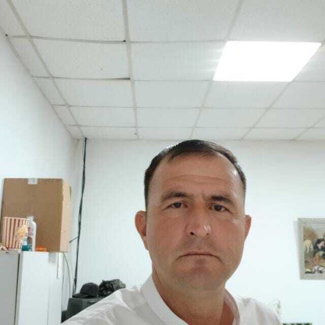  47220306  , 46 ,    