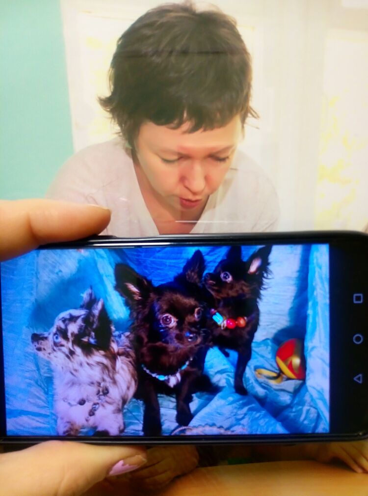 ���������� ����, ���� ������� ��������, 40 ���, ������������ ��� ����� � ���������, c�������� ���������