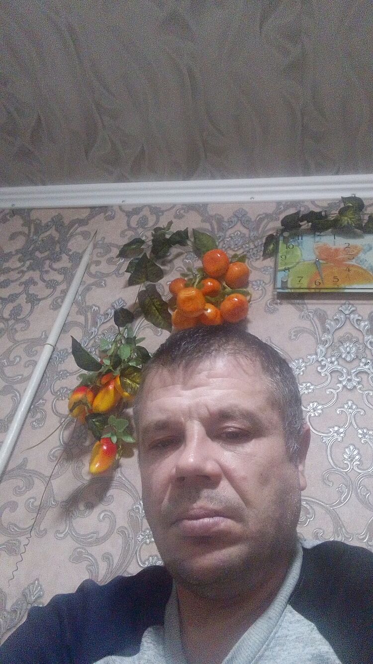  40684636  , 41 ,    