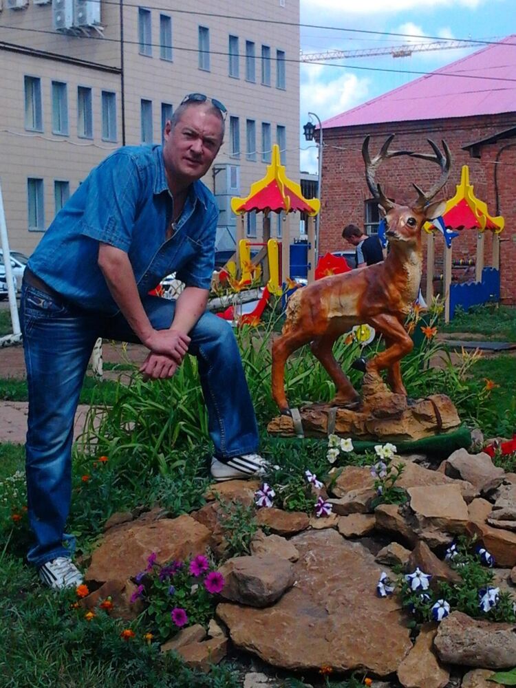 ���� 31102266 ������� �����, 48 ���, ���� ���������� � ������