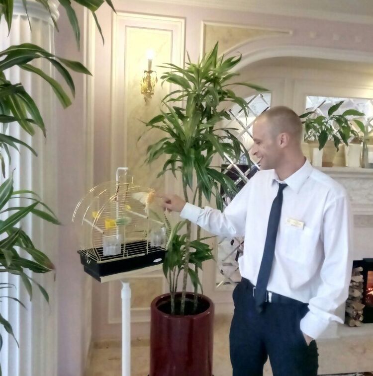 ���� 37353296 ������� �������, 41 ���, ���� ���������� � �����