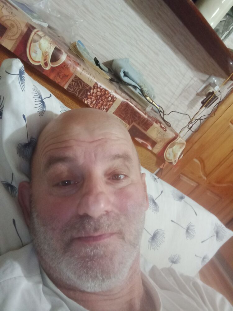  49633686  , 50 ,    