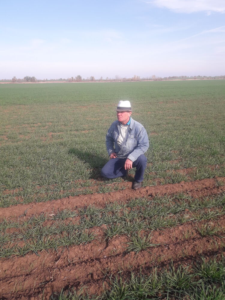 ���������� ������ ��������, ���� ������� ���������, 57 ���, ������������ ��� ������, ����� � ���������