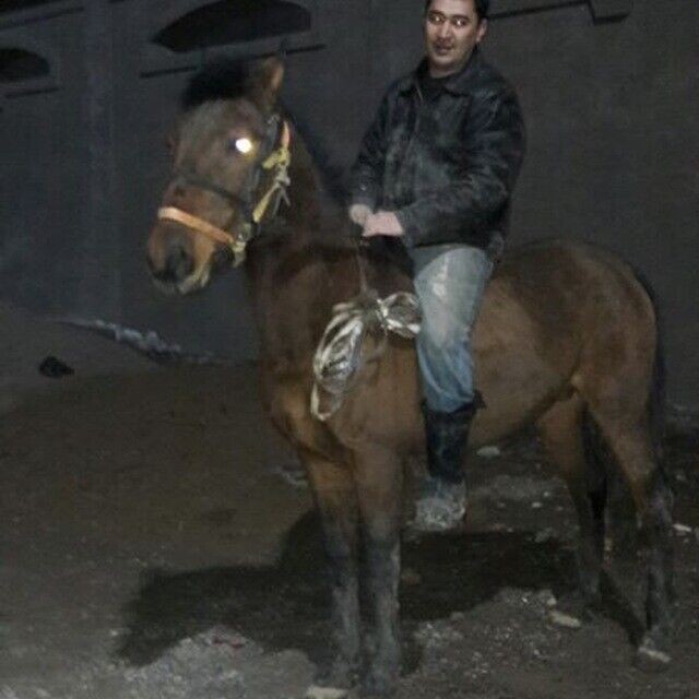 ���������� �������, ���� ������� Sadriddin, 42 ����, ������������ ��� ������, ����� � ���������, c�������� ���������