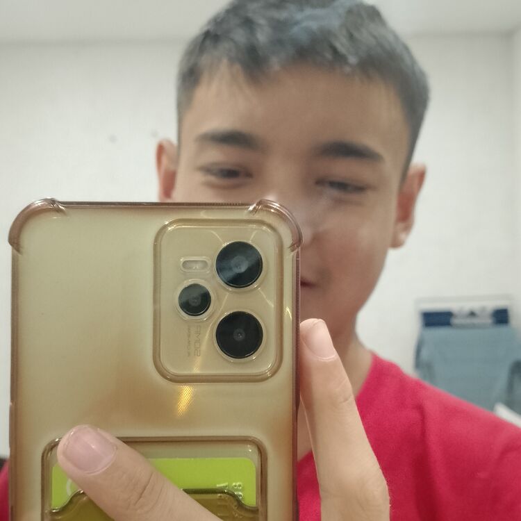  47317266  , 20 ,    
