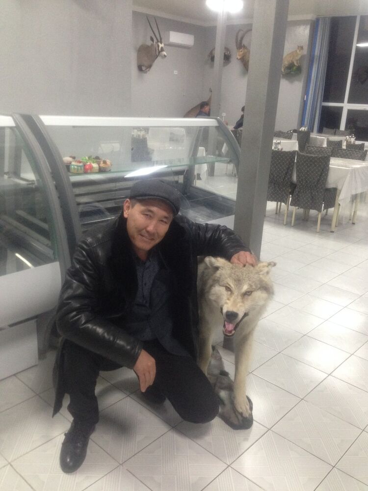 ���� 18335216 ������� �����, 48 ���, ���� ���������� � ��������