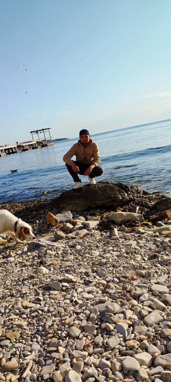 ���� 51306656 ������� ����, 29 ���, ���� ���������� � ������