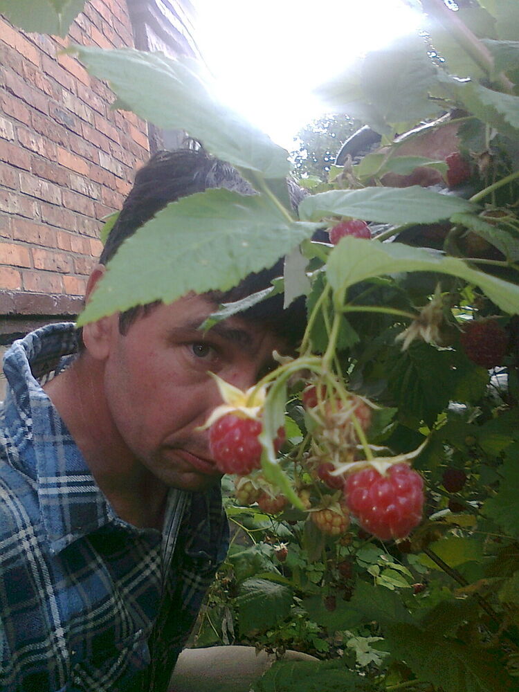  ,   , 52 ,  
