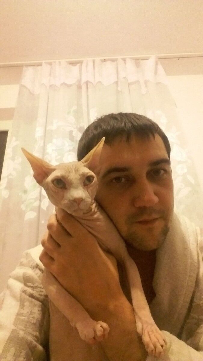  ,   , 37 ,   