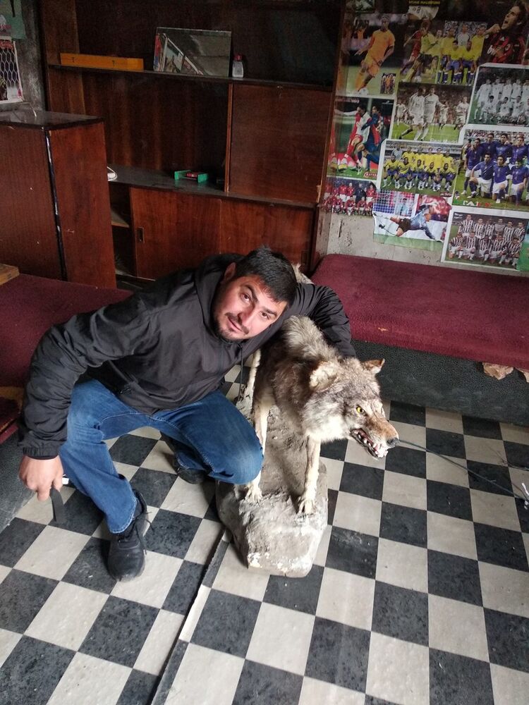 ���������� �������, ���� ������� Beqa, 42 ����, ������������ ��� ������, ����� � ���������, c�������� ���������