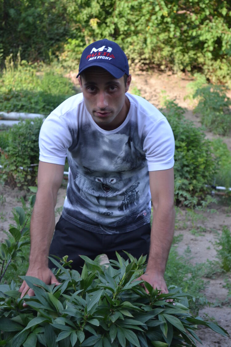 ���� 24437946 ������� ������, 41 ���, ���� ���������� � �������-��-����