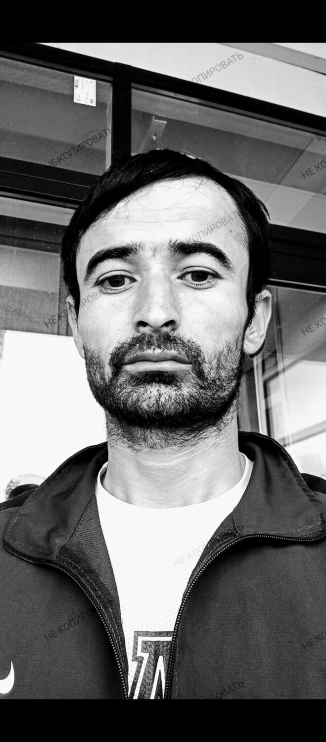 ���� 46310086 ������� Saib, 33 ����, ���� ���������� � ������