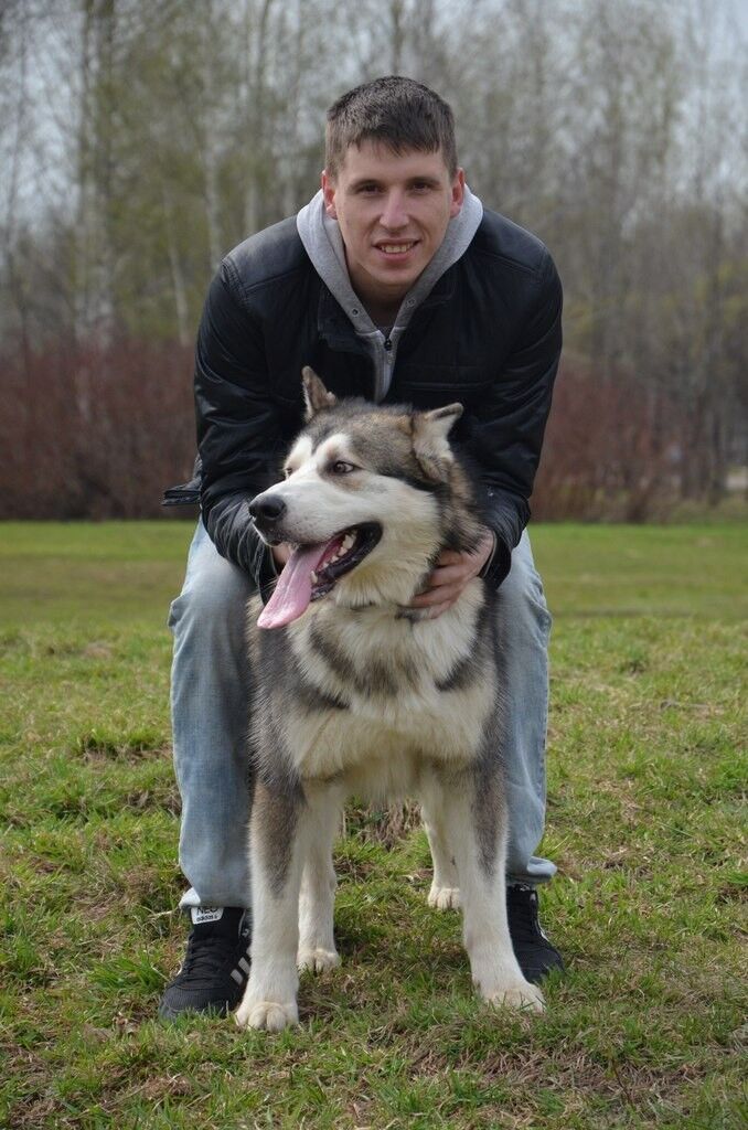 ���������� ������� ��������, ���� ������� ������, 37 ���, ������������ ��� ������, ����� � ���������, c�������� ���������