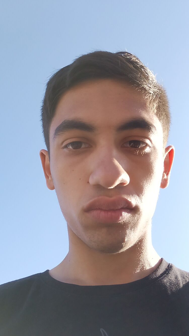  36661236  , 21 ,    -