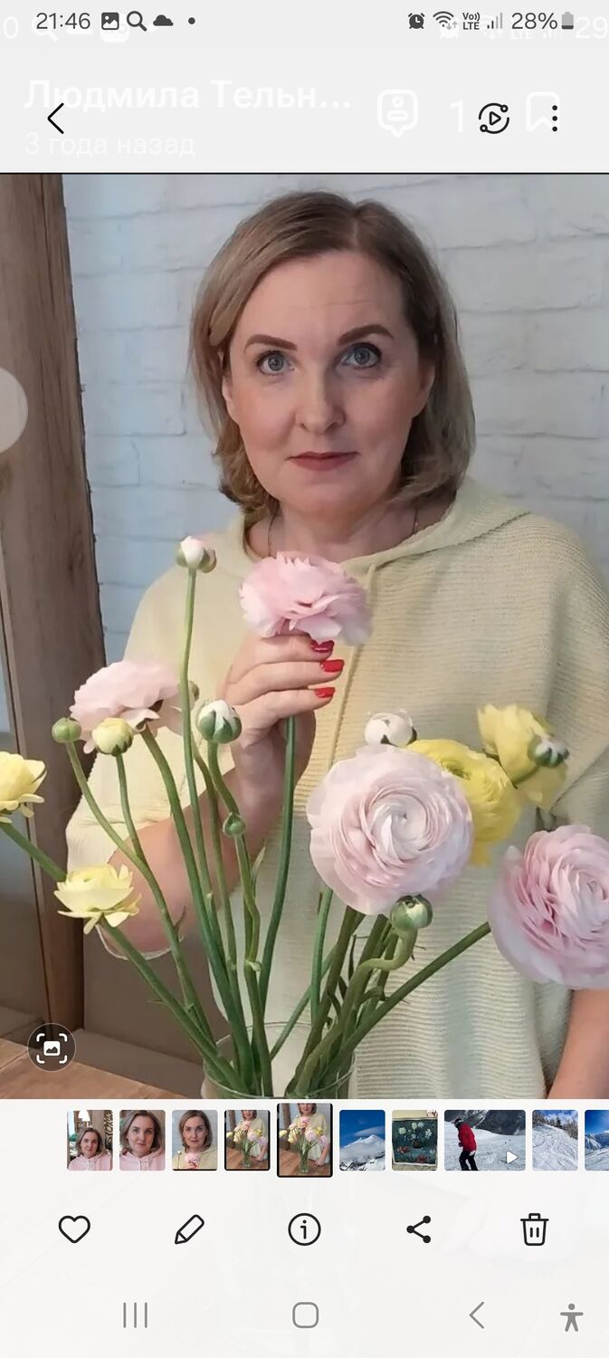 ���� 55850096 ������� �������, 55 ���, ���� ���������� � ������