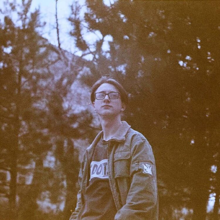  33836376  , 24 ,    --