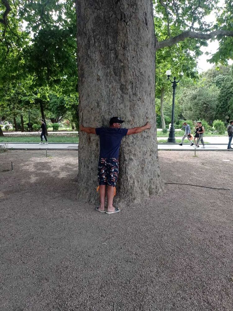  27030706  Aleksanbr, 38 ,    