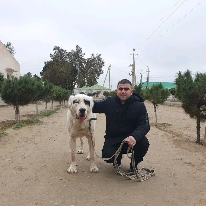 ���� 51496726 ������� William, 55 ���, ���� ���������� � ������