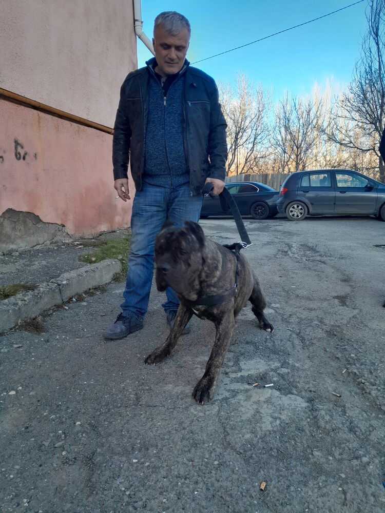  41208946  Temur, 45 ,    