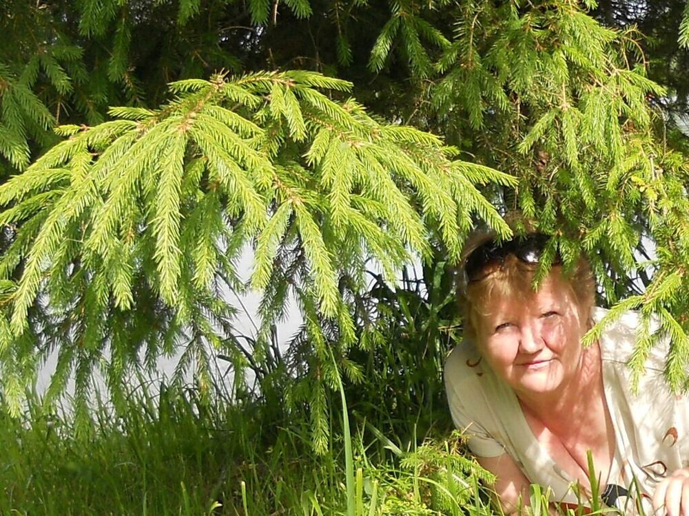 ���� 20849056 ������� ������, 62 ����, ���� ���������� � �����-����������