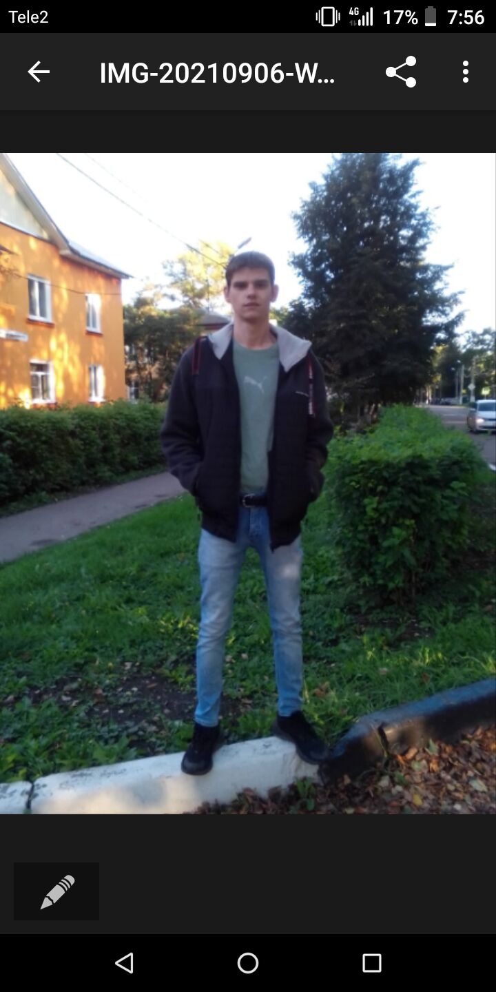  23868586  , 33 ,    