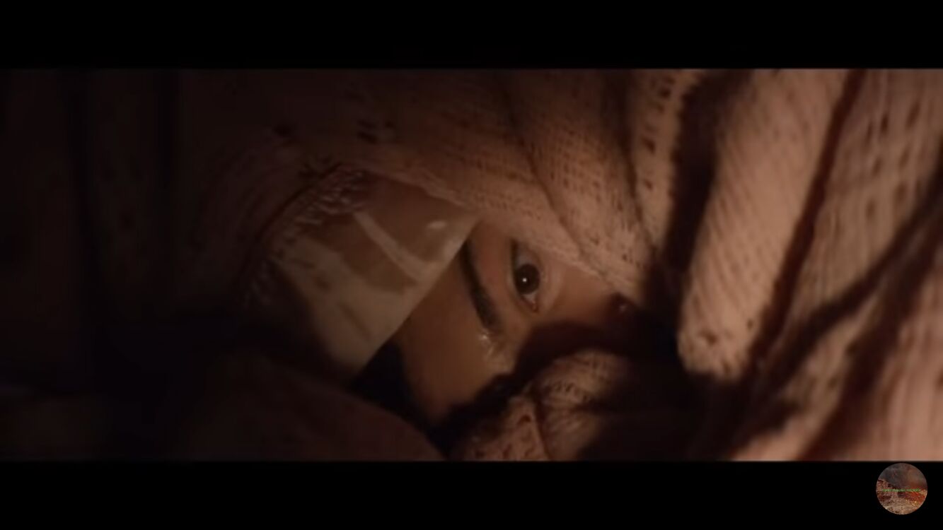  44017546  , 56 ,    -