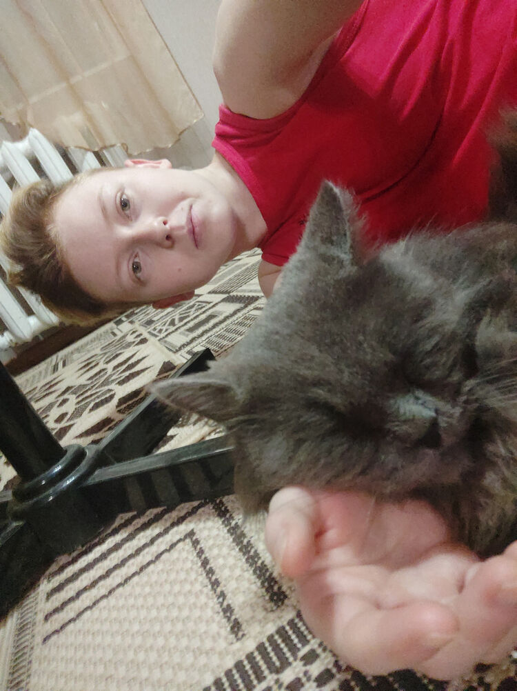 ���������� ���������, ���� ������� ����, 27 ���, ������������ ��� ������, ����� � ���������, c�������� ���������