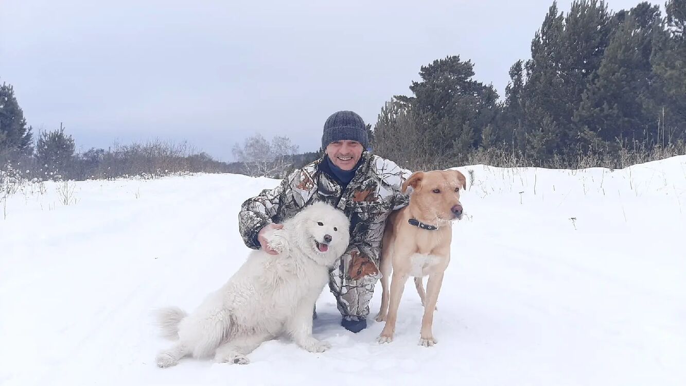  ,   Dmitry, 50 ,   ,   