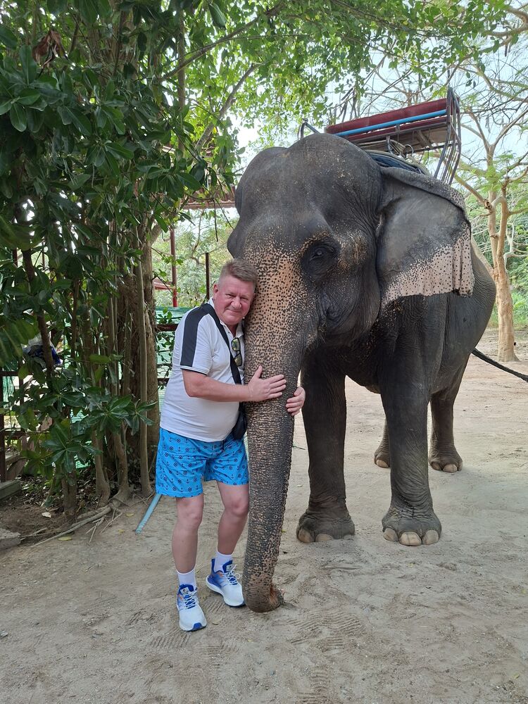 ���� 55513846 ������� ������, 60 ���, ���� ���������� � �������������