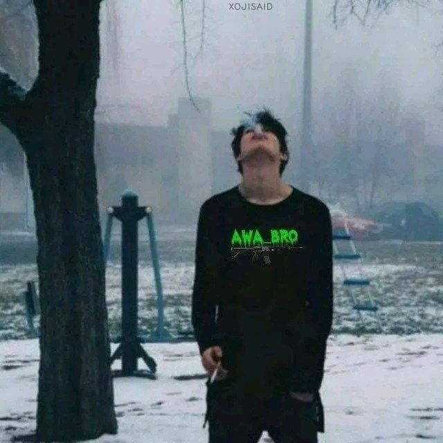  39033556  , 27 ,    