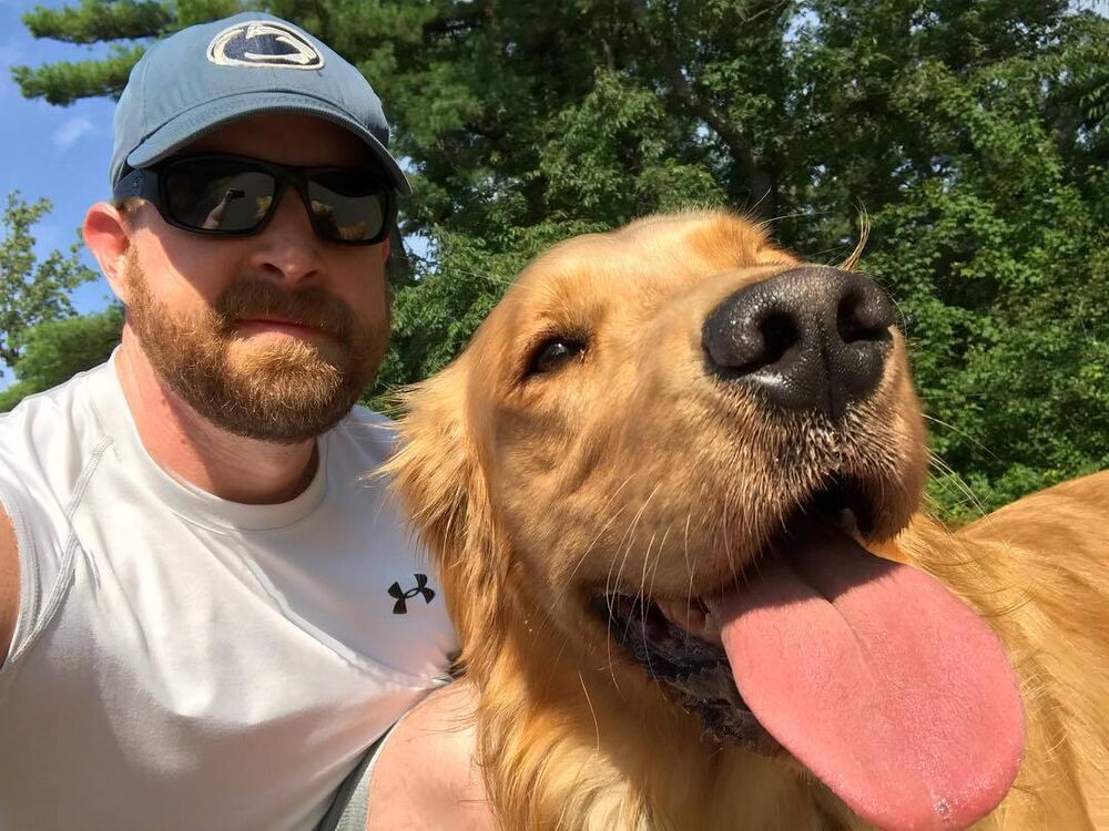 ���� 54974626 ������� �������, 36 ���, ���� ���������� � �������