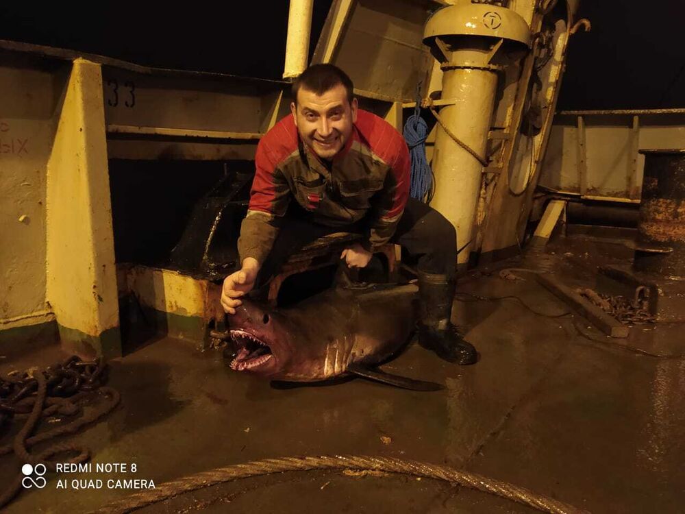 ���� 25984036 ������� ������, 29 ���, ���� ���������� � ��������������-����������