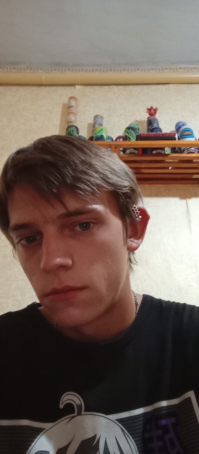  43278736  , 21 ,    