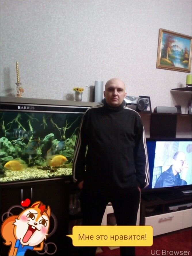 ���� 11531366 ������� ������, 42 ����, ���� ���������� � ���������