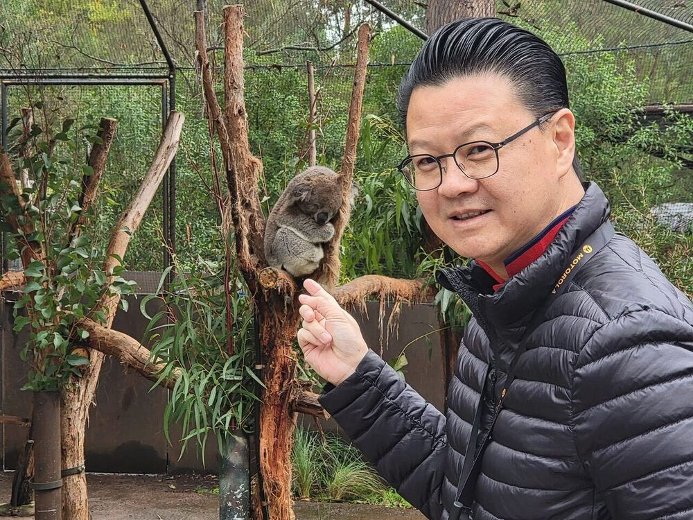 ���� 55847926 ������� Clarence, 55 ���, ���� ���������� � ������