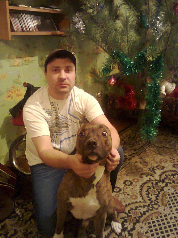  --,   Aleksandr, 52 ,   ,   