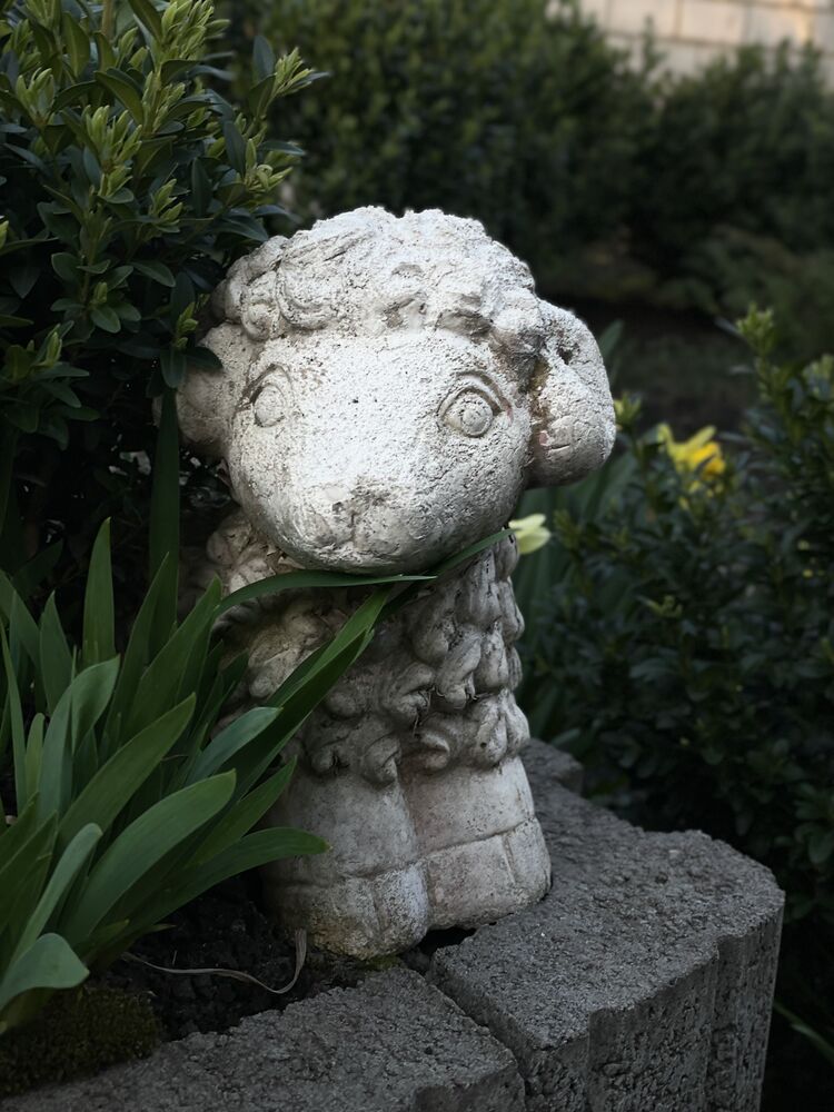 ���������� ����, ���� ������� ���������, 23 ����, ������������ ��� ������, ����� � ���������, ���������