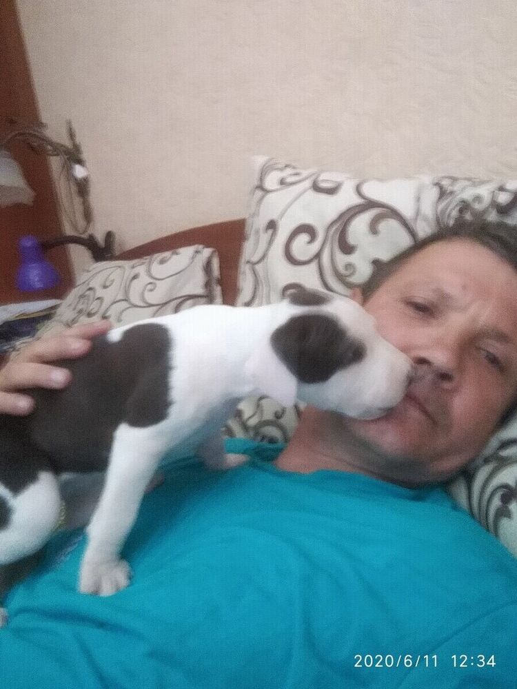  Warszawa,   , 44 ,   ,   