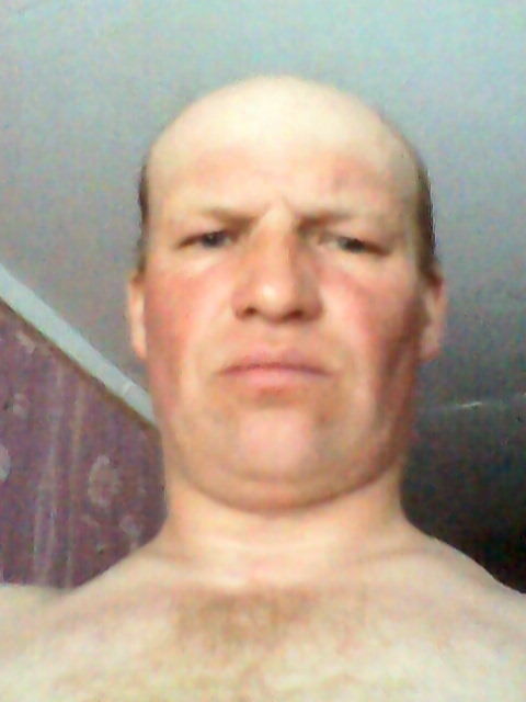  9864986  , 52 ,     