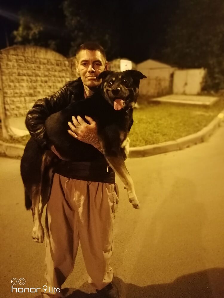 ���������� �����-���������, ���� ������� �������, 49 ���, ������������ ��� ������, ����� � ���������