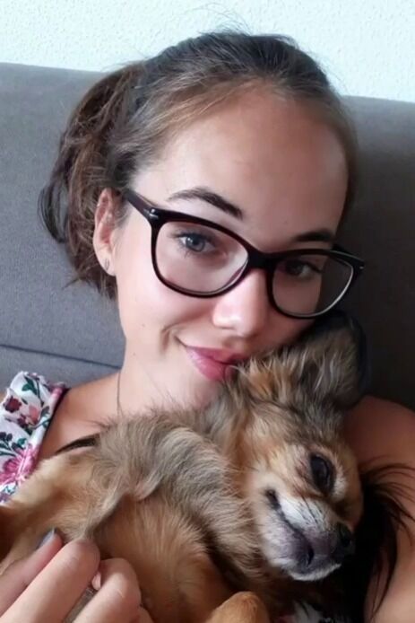 ���������� ��������, ���� ������� ������, 31 ���, ������������ ��� ������, ����� � ���������