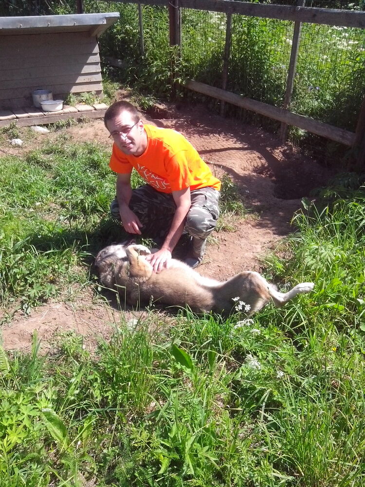 ���������� �����-���������, ���� ������� ������, 34 ����, ������������ ��� ������, ����� � ���������, c�������� ���������