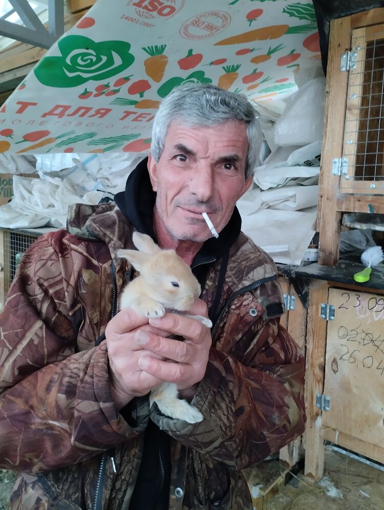  ,   , 53 ,   ,   