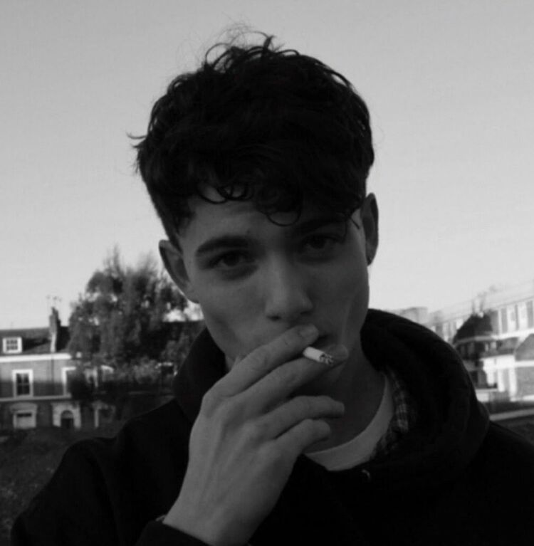 ���� 55685736 ����� �������, 24 ����, ���� ���������� � ������